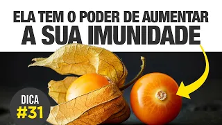 Você já ouviu falar da INCRÍVEL PHYSALIS? [DICA #31] 🟠 😋