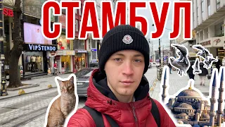 VLOG Стамбул 2024: Цены. Что посетить. Фабрики с одеждой.