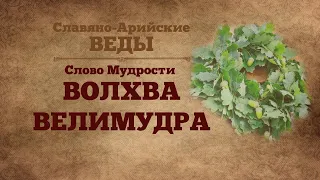 ※Слово Мудрости ВОЛХВА ВЕЛИМУДРА ※Славяно-Арийские Веды ※аудио