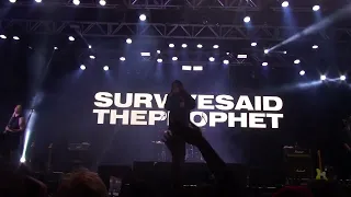 Survive Said The Prophet - Papersky - Anime Friends 2023
