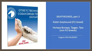«Особенности судейства пород польский харт, хортая борзая, тайган, тазы»