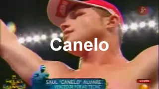 Canelo Vs Cotto Ojo por ojo