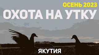 ОХОТА НА УТКУ ПОЗДНЕЙ ОСЕНЬЮ в ЯКУТИИ 2023. Чубарые подсадные утки