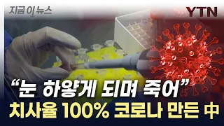 광기의 中...이번엔 '치사율 100%' 코로나 변이 제조 [지금이뉴스] / YTN