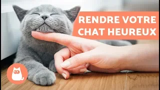 Comment rendre son chat heureux ? 10 astuces qui changeront sa vie!