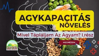 Agyi Teljesítmény Növelés Természetes Úton?  Mivel Tápláljam Az Agyam? I. rész #6