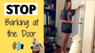 How to Get Your Dog to Stop Barking at the Door