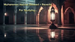 Muhammed Nabina (Slowed + Reverb) For Studying Or Anything Else