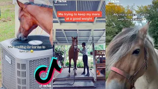 The Best MARES TikTok Compilation 2022 #41