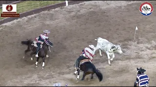 #MemoriaHuasa Las cuatro carreras de los Terceros Campeones de Chile