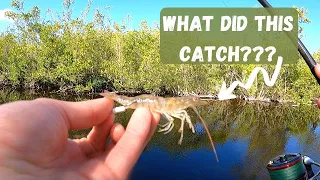 Fishing with Live Shrimp in Florida Saltwater Canals Catches Surprise Fish with Lawson Lindsey