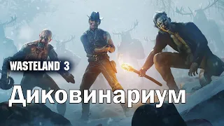 Wasteland 3 ► Три способа попасть в Диковинариум