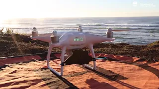 NSW Drone Shark Detection