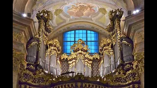 Welcome to the concert at St. Peter's Church in Vienna/Austria (07.07.2022)