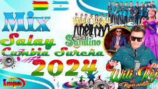 MIX WILI ROJAS CUMBIA SUREÑA CUMBIA CON SABOR PRIMICIA 2024 DJ IMPA