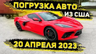 Осмотры Авто перед Погрузкойиз США 20 Апреля 2023 г !  Работаем Прозрачно ! Спим Крепко !