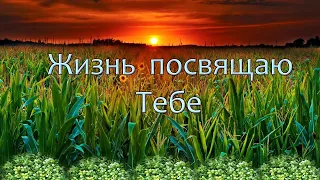 Жизнь посвящаю Тебе. _Шиманские. Альбом: Жизнь посвящаю Тебе. 2004 год_