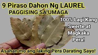 9 Na Dahon Ng LAUREL sa Umaga | Asahan Mo Ang Laki ng PERA na Maka Pagbabago Ng Buhay Mo!