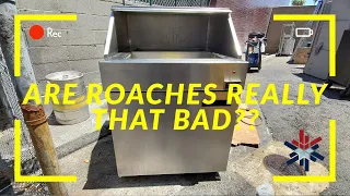 ARE ROACHES REALLY THAT BAD??