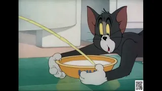 Tom and Jerry | The Milky Waif | kids cartoon