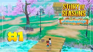 Farming It Up! - Let's Play Story of Seasons: A Wonderful Life #1