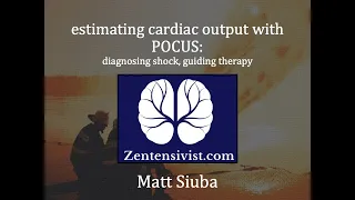 Estimation of cardiac output using point of care ultrasound (POCUS) - diagnosing and treating shock