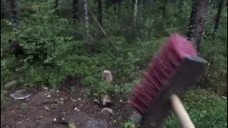 [FUNNY] Finnish man scares a bear away by shouting PERKELE [2017] #StandWithUkraine