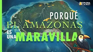 Porque es Importante El Amazonas