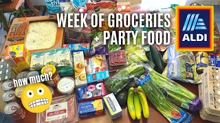 *BIG* Aldi Grocery Haul: How Much Did I Spend?