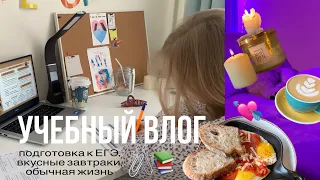 учебный влог: два дня из жизни, с комфортным темпом учёбы🖇️❤️