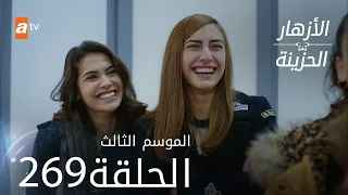 مسلسل الأزهار الحزينة | الحلقة 269 - الموسم الثالث