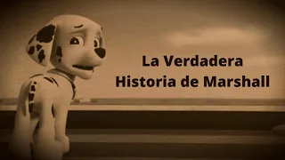 La Verdadera Historia de Marshall/ Paw Patrol