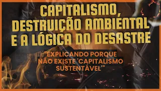 Capitalismo, destruição ambiental e a lógica do desastre