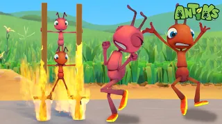 Hotshots🔥| Funny Cartoons For All The Family! | Funny Videos for kids | ANTIKS