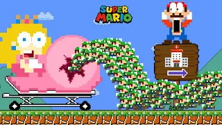 Super Mario Bros. but Mario vs 999 Baby Luigi inside Peach Pregnant Maze | Game Animation