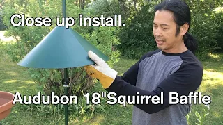 Audubon 18" Squirrel Baffle Install Close up.