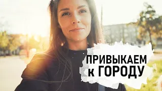 Ремонт стены, Закваски для хлеба, Грибы и консервы. В лес по грибы VLOG - Senya Miro