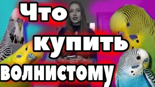 ВСЕ ЧТО НУЖНО ДЛЯ ВОЛНИСТОГО ПОПУГАЯ ДО ЕГО ПОКУПКИ ЧТО КУПИТЬ ВОЛНИСТИКУ