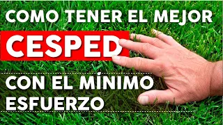 6 Consejos para mantener un césped saludable AHORRANDO tiempo y dinero