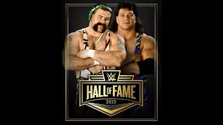 The Steiner Brothers Announced For 2022 WWE Hall Of Fame Class
