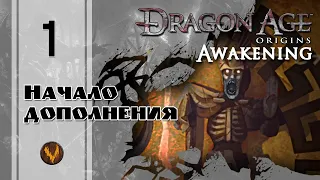 Начало дополнения - Dragon age: Awakening - Прохождение за мага поддержки (кошмарный сон) - #1