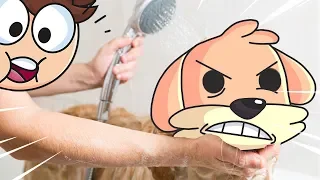 ¡PERRO NO SE QUIERE METER A BAÑAR! 😂😱 DOBLAJES PERRUNOS #3