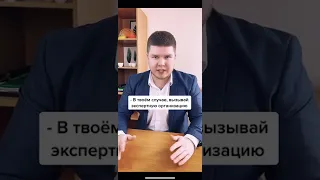 Соседская собака мешает сильным лаем? Рассказываем что делать в видео!