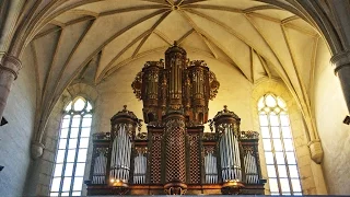 XAVER VARNUS PLAYS 'MADRIGAL' BY DESIRE D'ANTALFFY IN CLUJ NAPOCA, TRANSYLVANIA