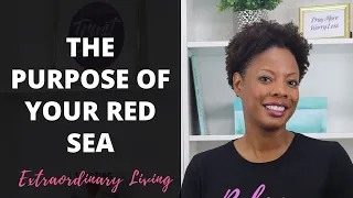 The Purpose of Your Red Sea:  Encouragement on Your Journey to Purpose