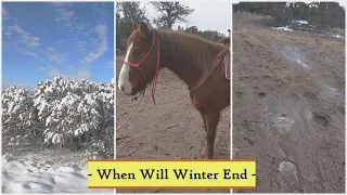 A Day Of Snow, Horses, & Mud,