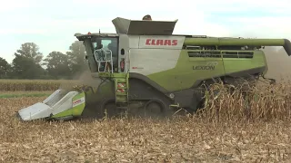 Claas Lexion 770 TT high speed corn harvest with 8 row picker in Germany