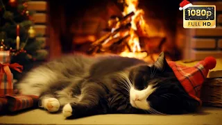 Cozy Fireplace with Purring Cat on Christmas Night | Healing Insomnia, Overcome Stress, Sleep Well