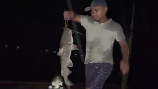 Catfish Fishing Suriname