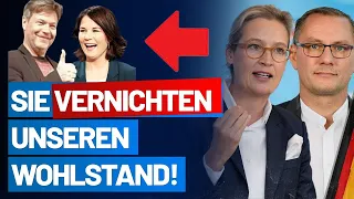 Presseerklärung der Fraktionsspitze zu Habeck und Baerbock! - AfD im Bundestag